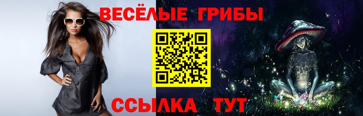 Галлюциногенные грибы Psilocybe  Псилоцибиновые грибы Psilocybe  Вход с VPN  Алушта 
